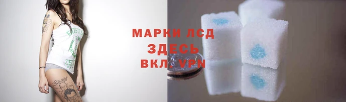 молекула духа Всеволожск